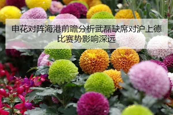 img_1780394790544_216_1_851.jpg