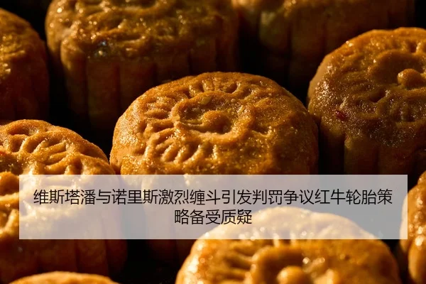 维斯塔潘与诺里斯激烈缠斗引发判罚争议红牛轮胎策略备受质疑